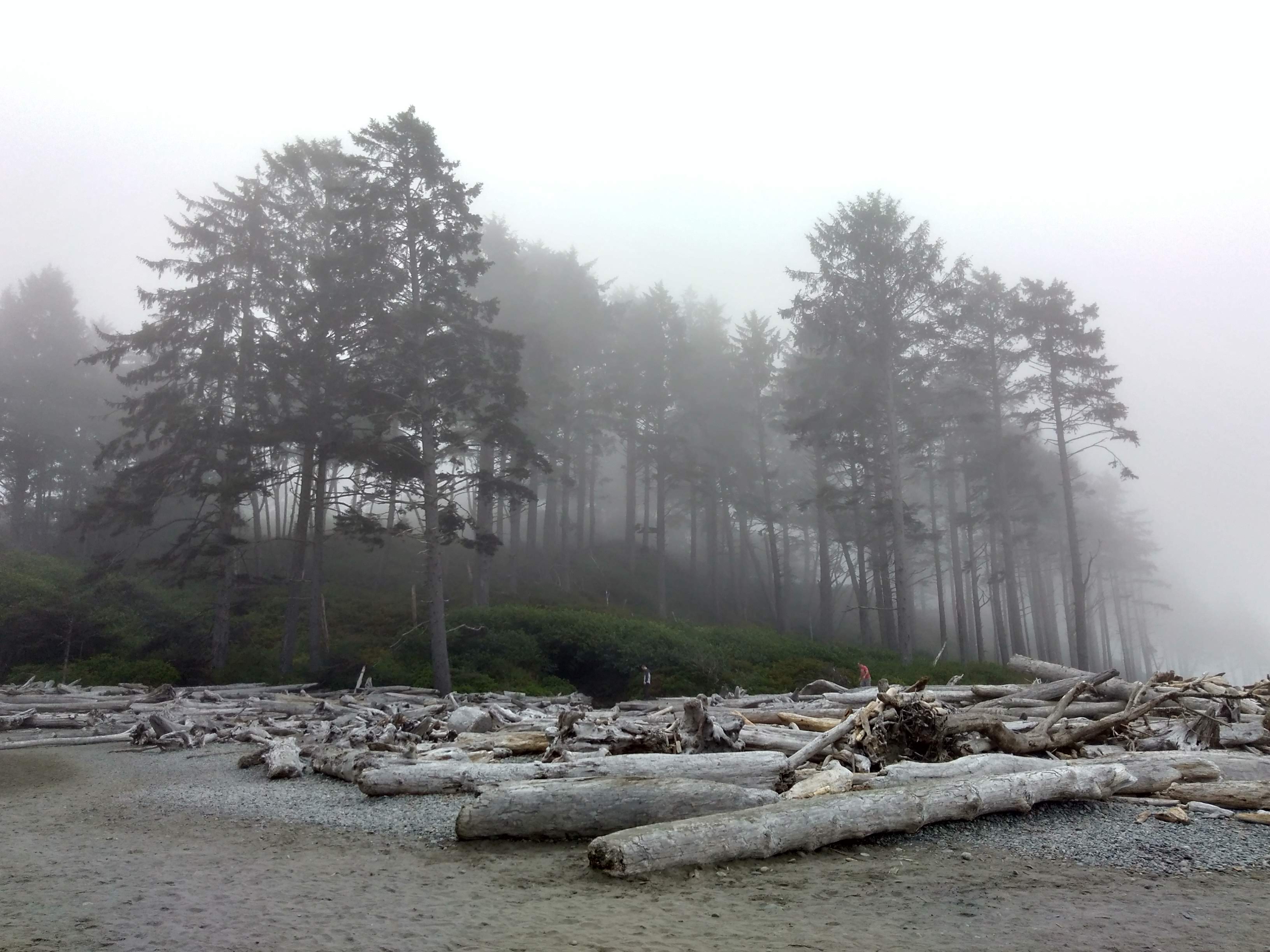 Ruby Beach