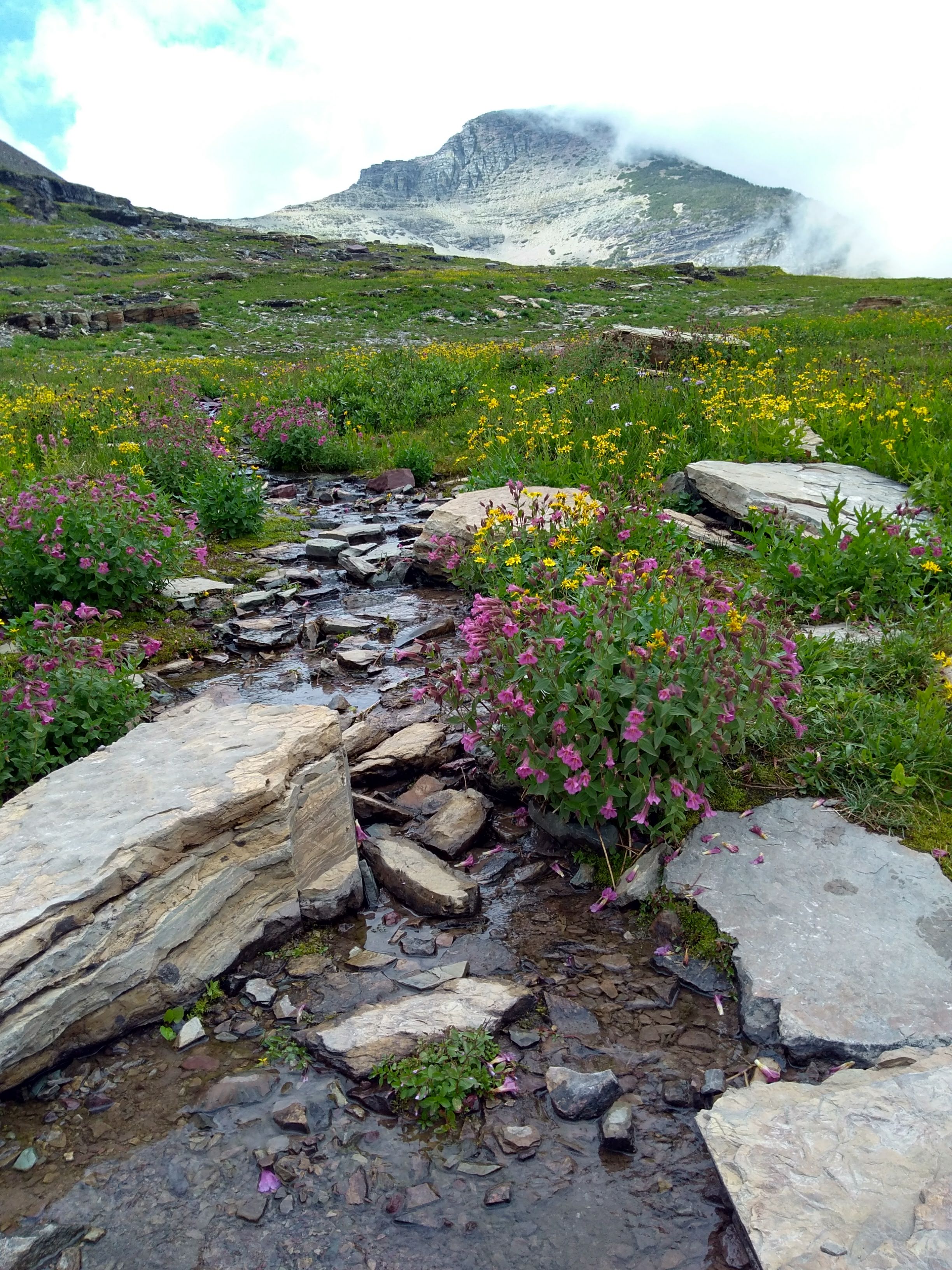 Glacier National Park, MT